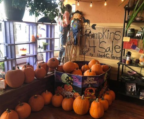 Pumpkins for sale outside the Bee Healthy store in Worland
